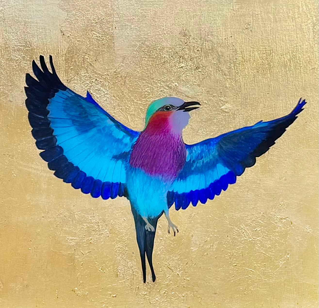 Lilac Breasted Roller Preparing to Perch