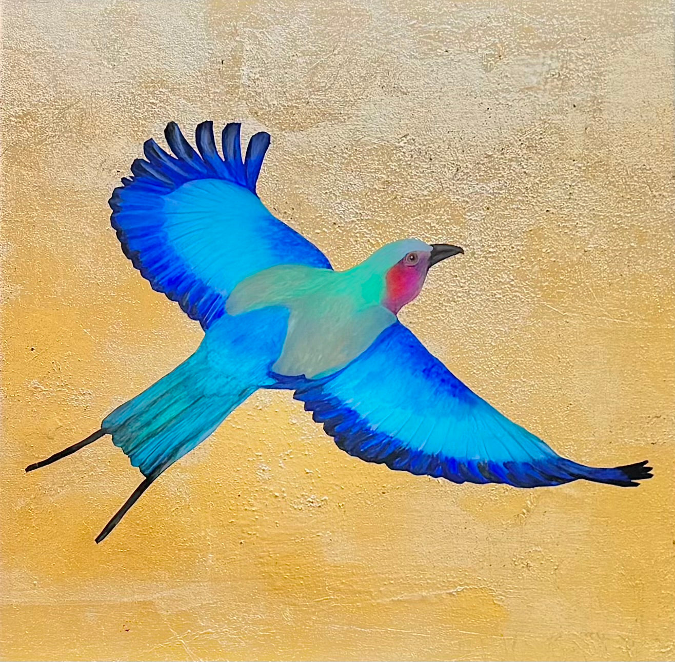 Lilac Breasted Roller Gliding in Flight